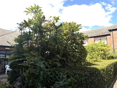 Picture 14